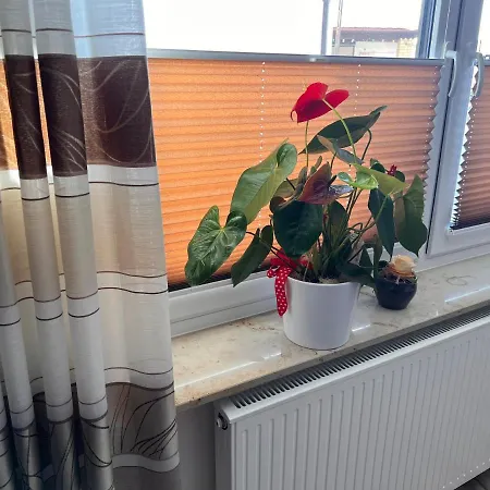 Zum Winterberg Apartmán *