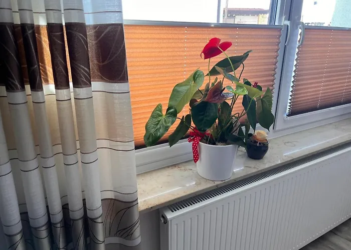 Zum Winterberg شقة *